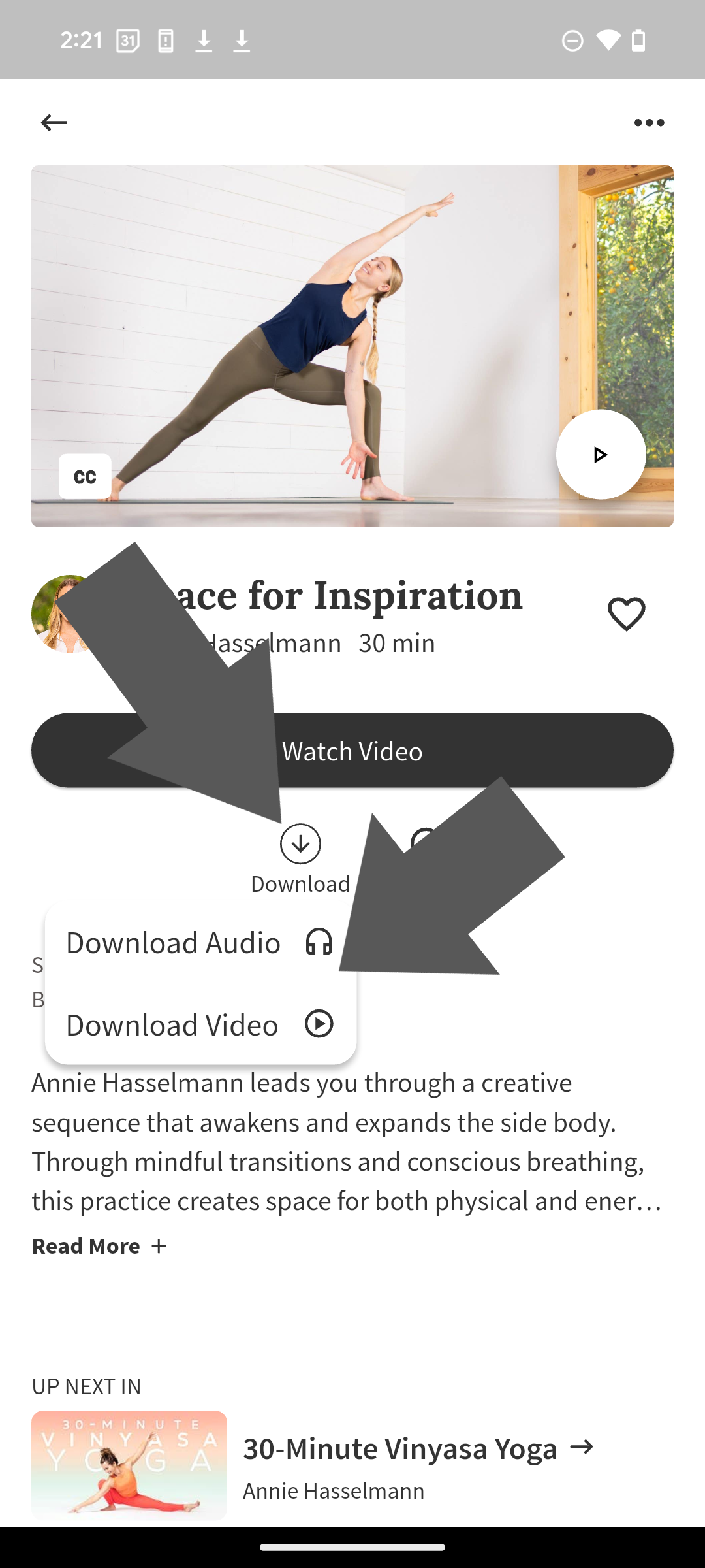 YA Download Audo or Video .png