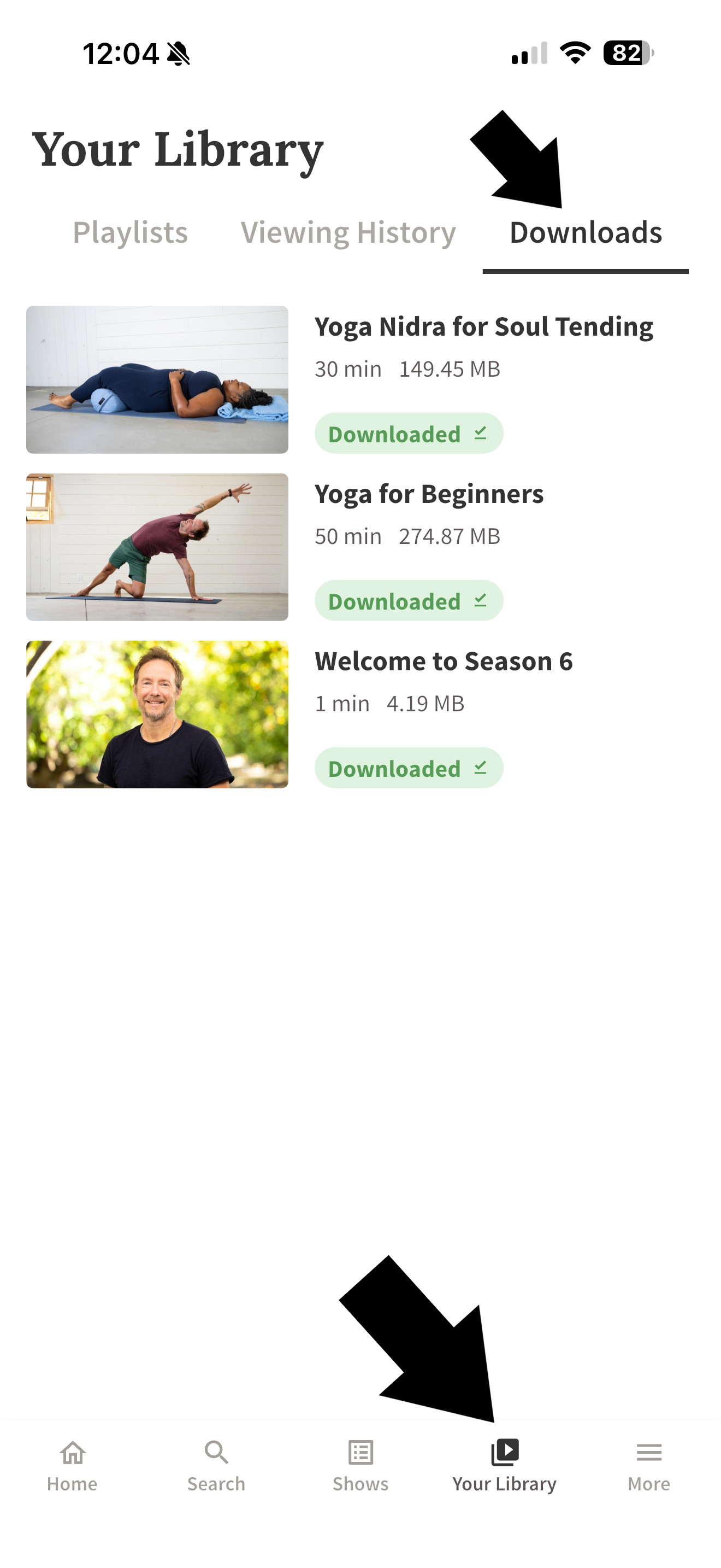 YA Library Select Downloads.png