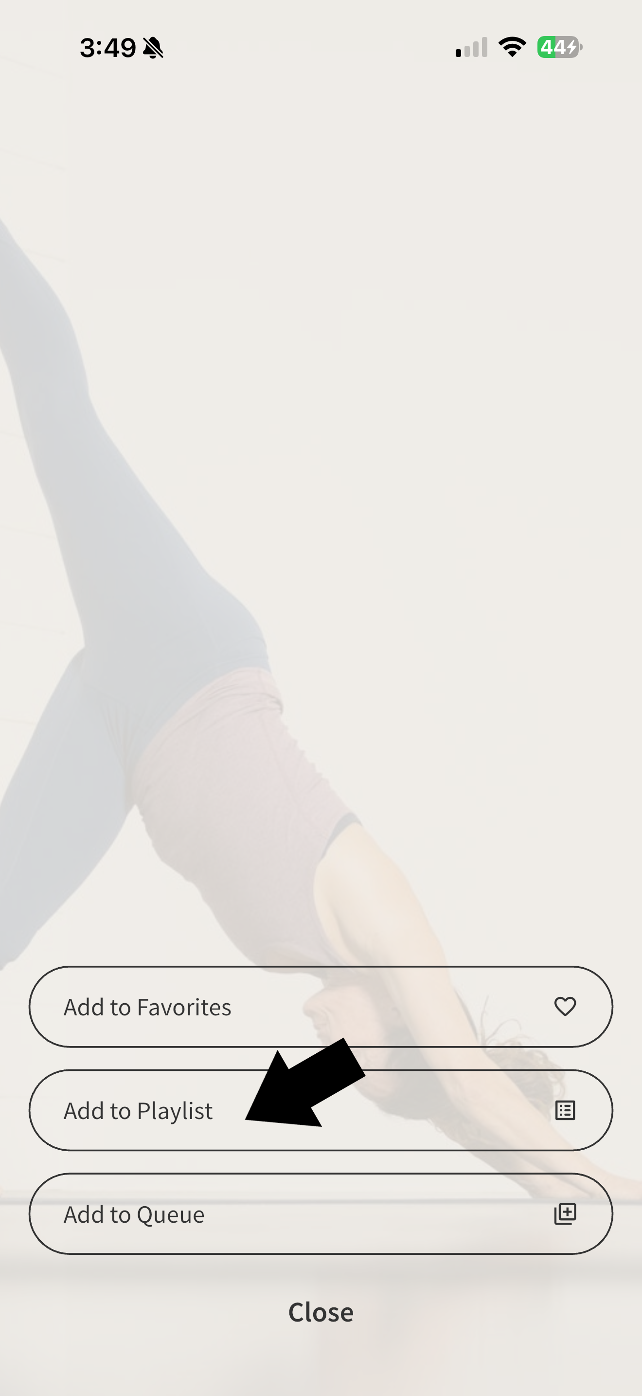 YA Library Add to Playlist.png