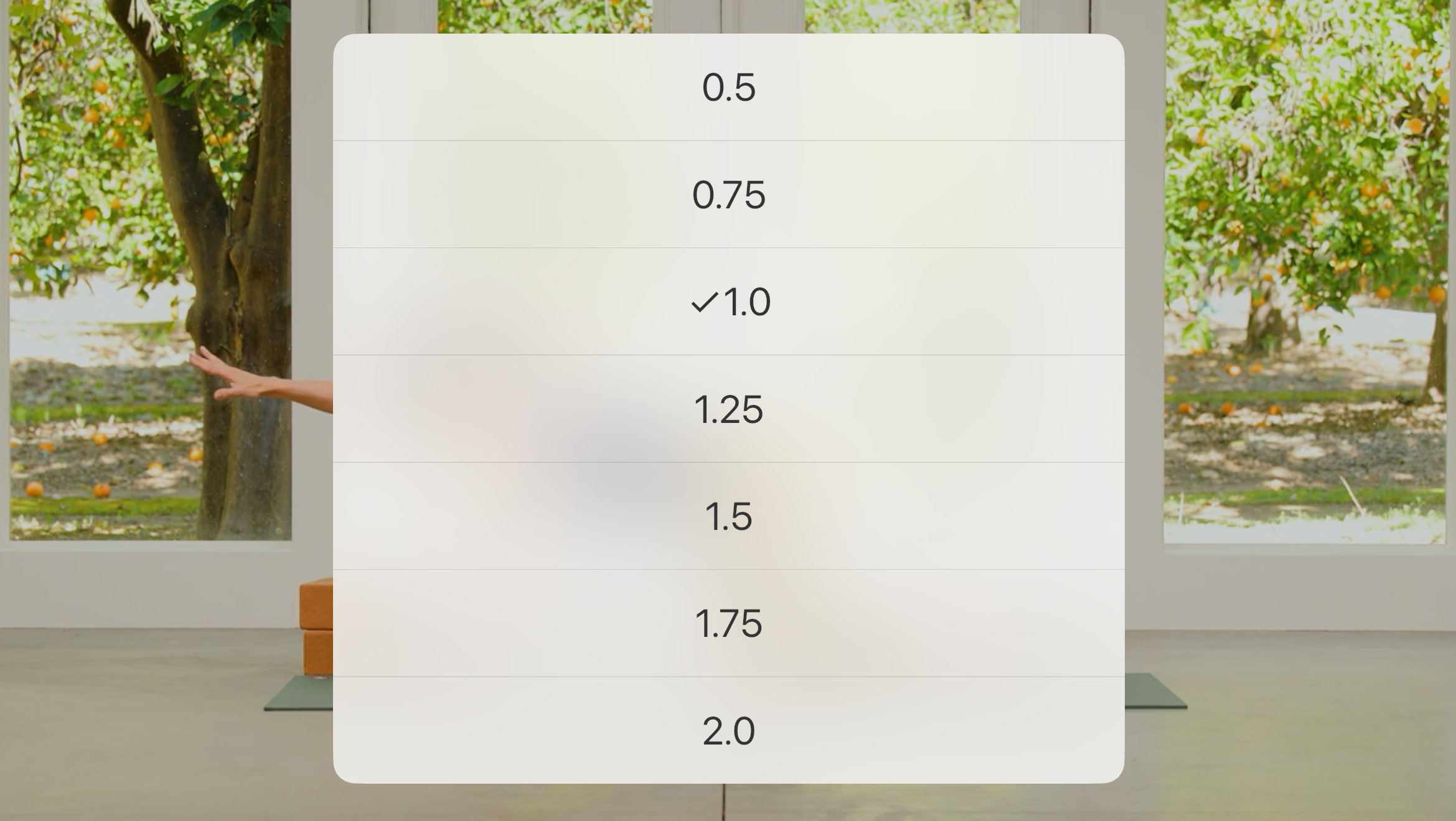 YA Playback Speed Options.png