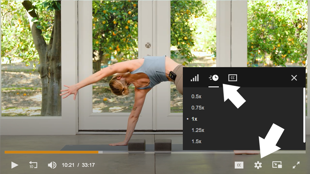 YA Playback Speed Web Settings.png