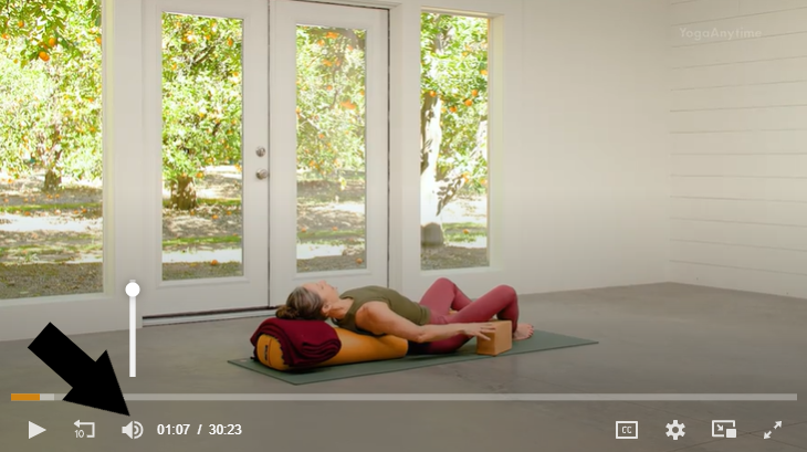 YA Web Video Controls Volume.png
